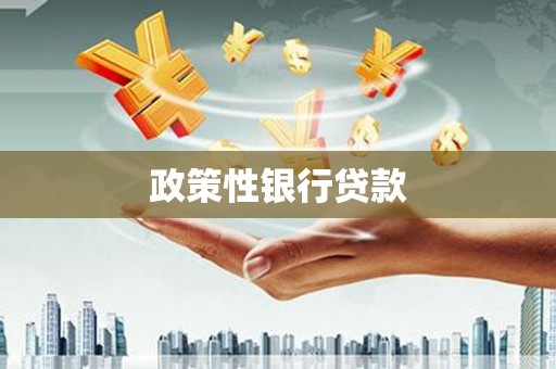 港北政策性银行贷款