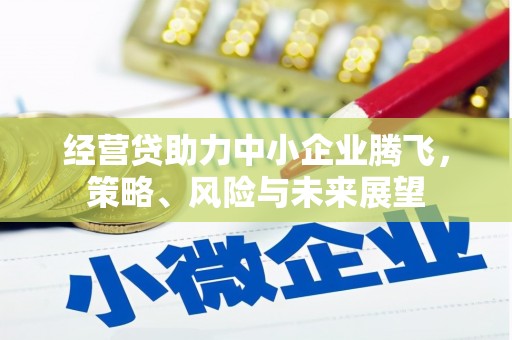 港北经营贷助力中小企业腾飞，策略、风险与未来展望