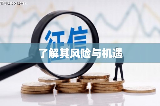 港北了解其风险与机遇
