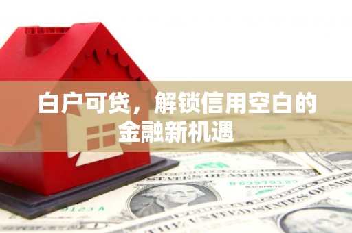 港北白户可贷，解锁信用空白的金融新机遇