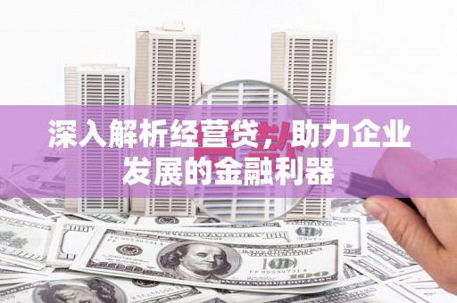 港北深入解析经营贷，助力企业发展的金融利器