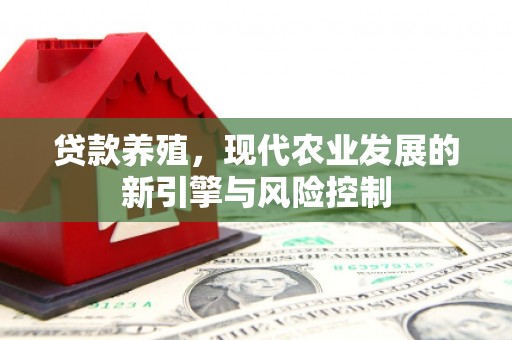 港北贷款养殖，现代农业发展的新引擎与风险控制