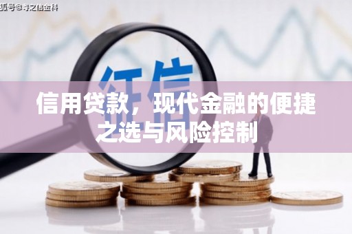 港北信用贷款，现代金融的便捷之选与风险控制