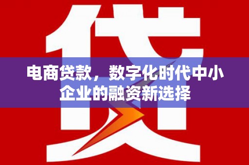 港北电商贷款，数字化时代中小企业的融资新选择