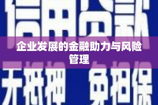 港北企业发展的金融助力与风险管理