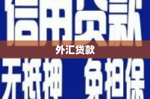 港北外汇贷款