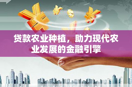 港北贷款农业种植，助力现代农业发展的金融引擎