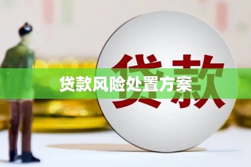港北贷款风险处置方案
