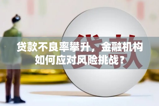 港北贷款不良率攀升，金融机构如何应对风险挑战？
