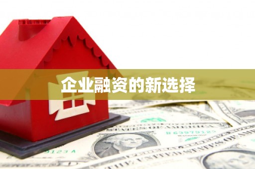 港北企业融资的新选择