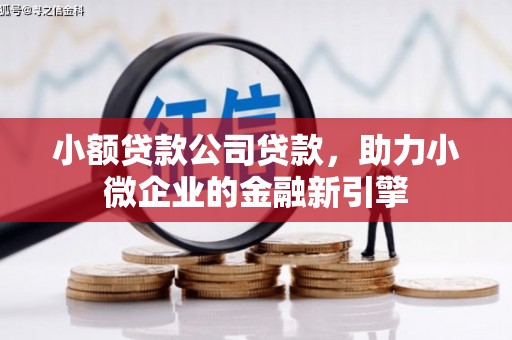 港北小额贷款公司贷款，助力小微企业的金融新引擎