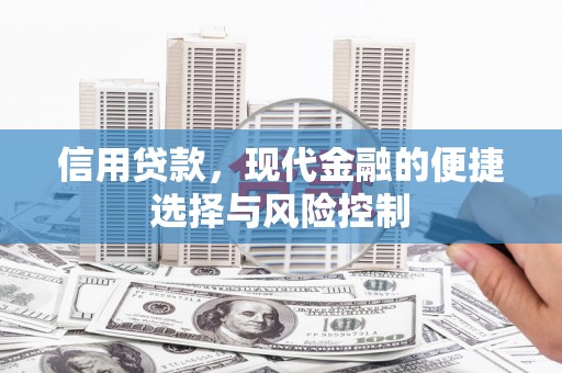 港北信用贷款，现代金融的便捷选择与风险控制