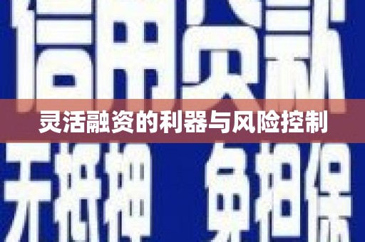 港北灵活融资的利器与风险控制