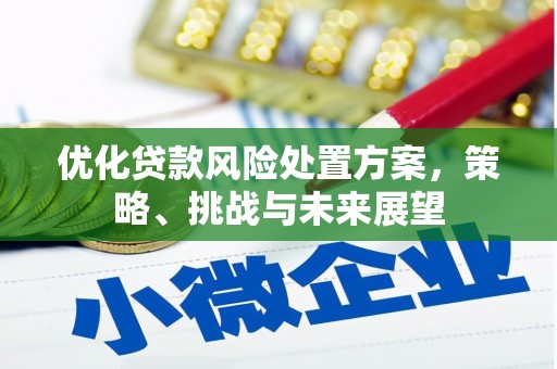 港北优化贷款风险处置方案，策略、挑战与未来展望