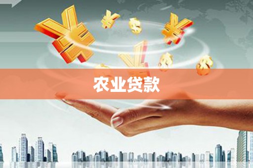 港北农业贷款