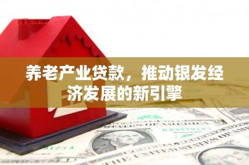 港北养老产业贷款，推动银发经济发展的新引擎