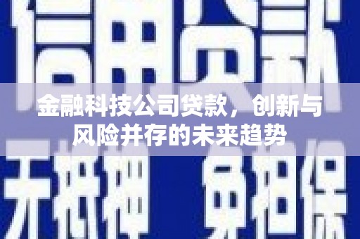 港北金融科技公司贷款，创新与风险并存的未来趋势