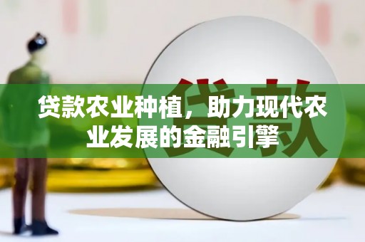港北贷款农业种植，助力现代农业发展的金融引擎