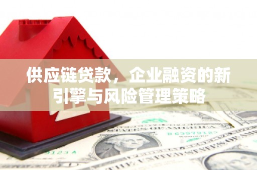 港北供应链贷款，企业融资的新引擎与风险管理策略