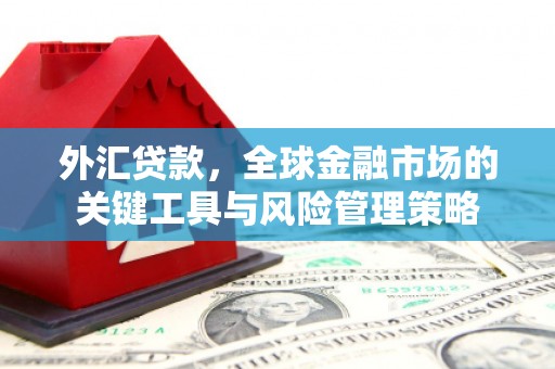 港北外汇贷款，全球金融市场的关键工具与风险管理策略