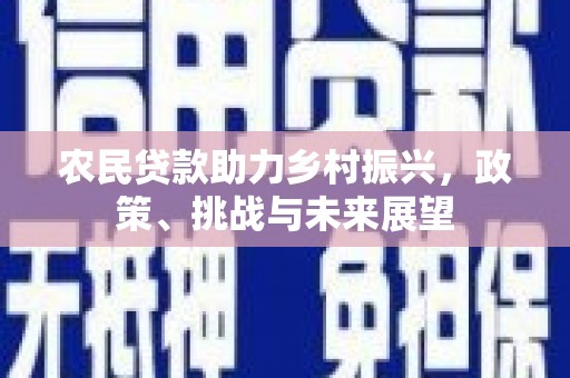 港北农民贷款助力乡村振兴，政策、挑战与未来展望