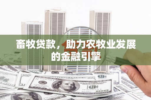 港北畜牧贷款，助力农牧业发展的金融引擎