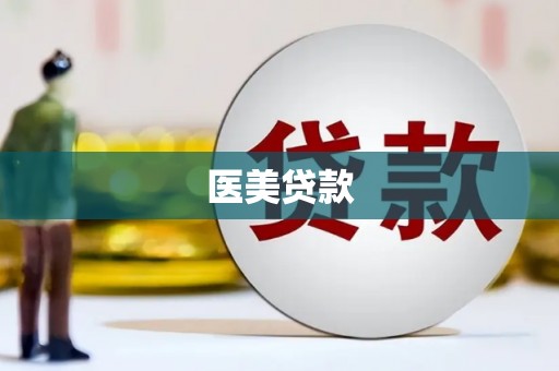 港北医美贷款