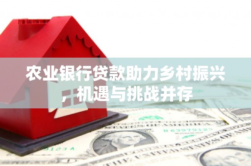 港北农业银行贷款助力乡村振兴，机遇与挑战并存