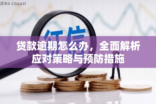 港北贷款逾期怎么办，全面解析应对策略与预防措施