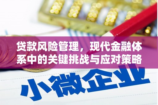 港北贷款风险管理，现代金融体系中的关键挑战与应对策略