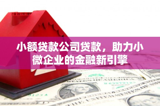 港北小额贷款公司贷款，助力小微企业的金融新引擎