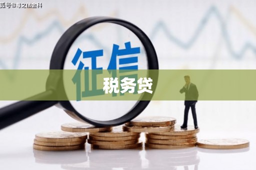 港北税务贷