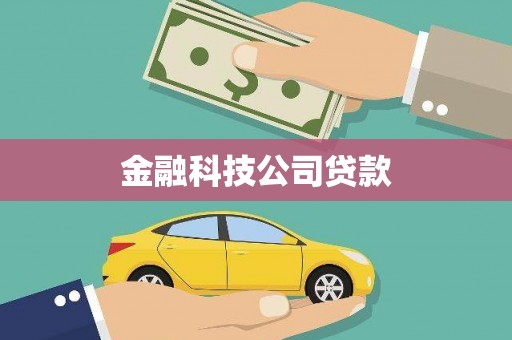港北金融科技公司贷款