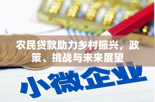 港北农民贷款助力乡村振兴，政策、挑战与未来展望