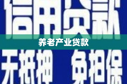 港北养老产业贷款