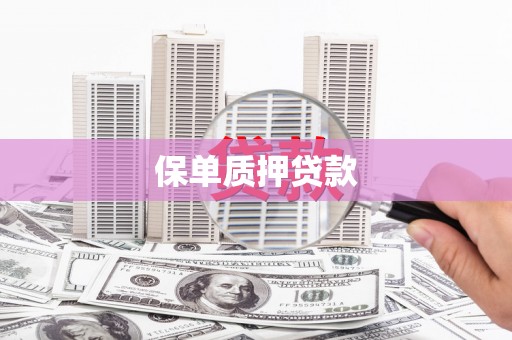 港北保单质押贷款