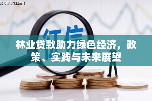 港北林业贷款助力绿色经济，政策、实践与未来展望