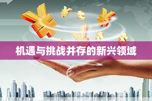 港北机遇与挑战并存的新兴领域