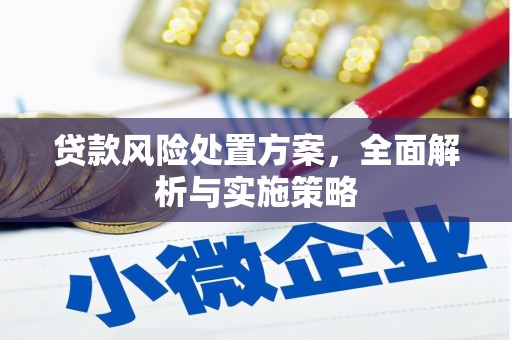 港北贷款风险处置方案，全面解析与实施策略