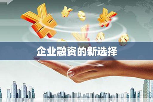 港北企业融资的新选择